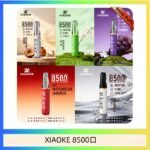 梟客XIAOKE一次性電子菸拋棄式8500口